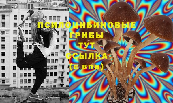 дживик Нязепетровск