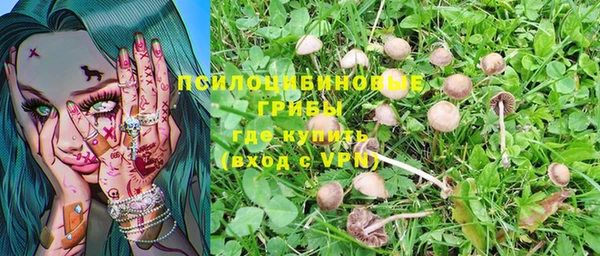 ALPHA-PVP Болотное
